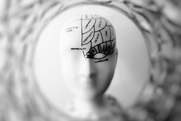 How brain works