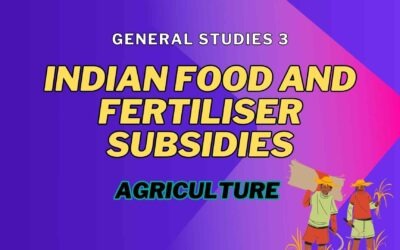 Indian Food and Fertiliser Subsidies